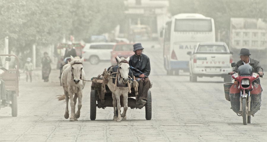 DSC_0151Ϊܶ-1.jpg