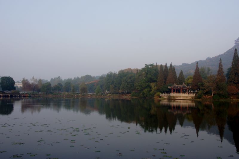 DSC07851.JPG