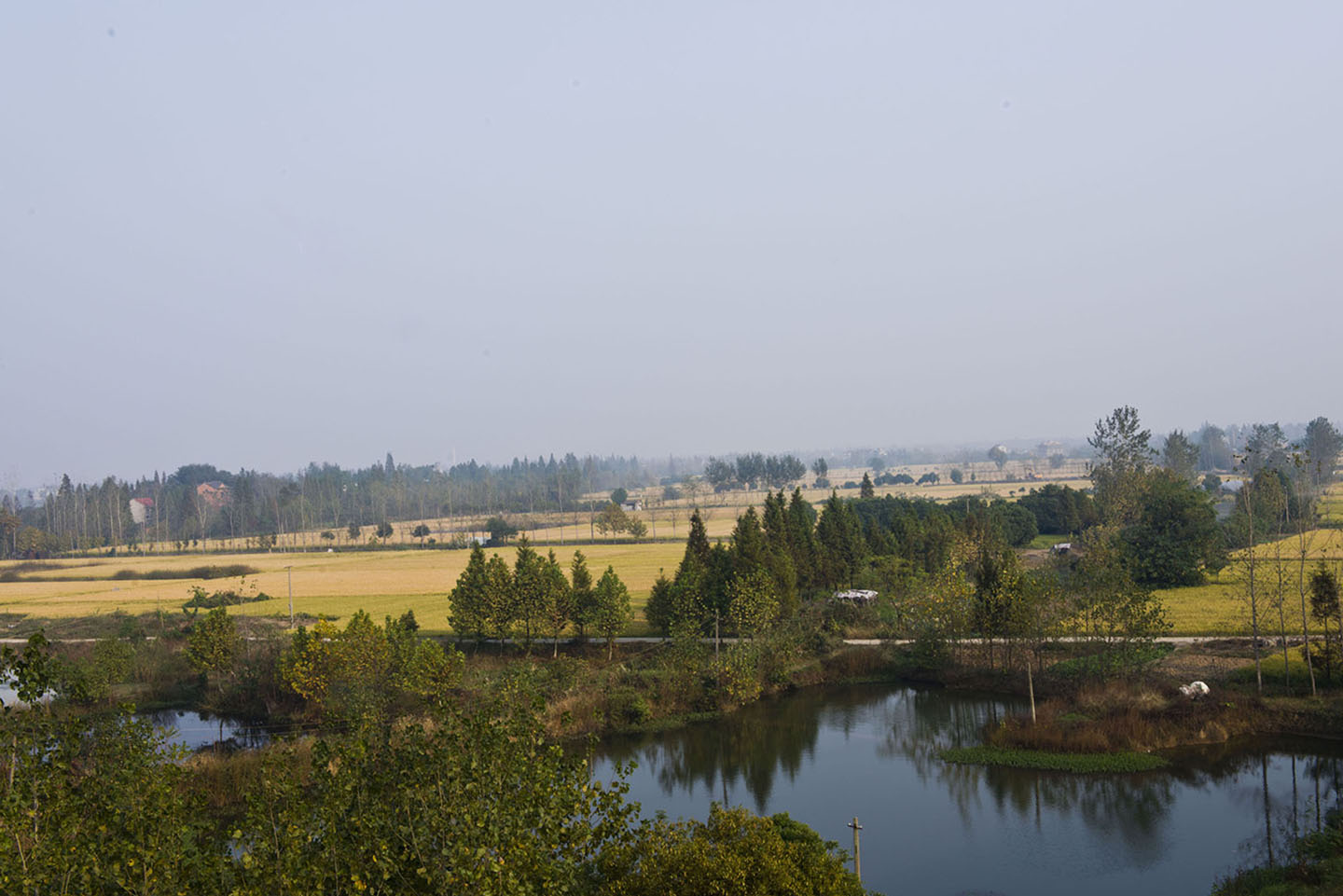 DSC_4420.jpg
