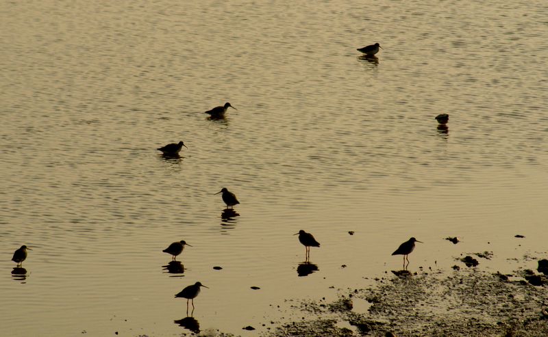 DSC00476.JPG
