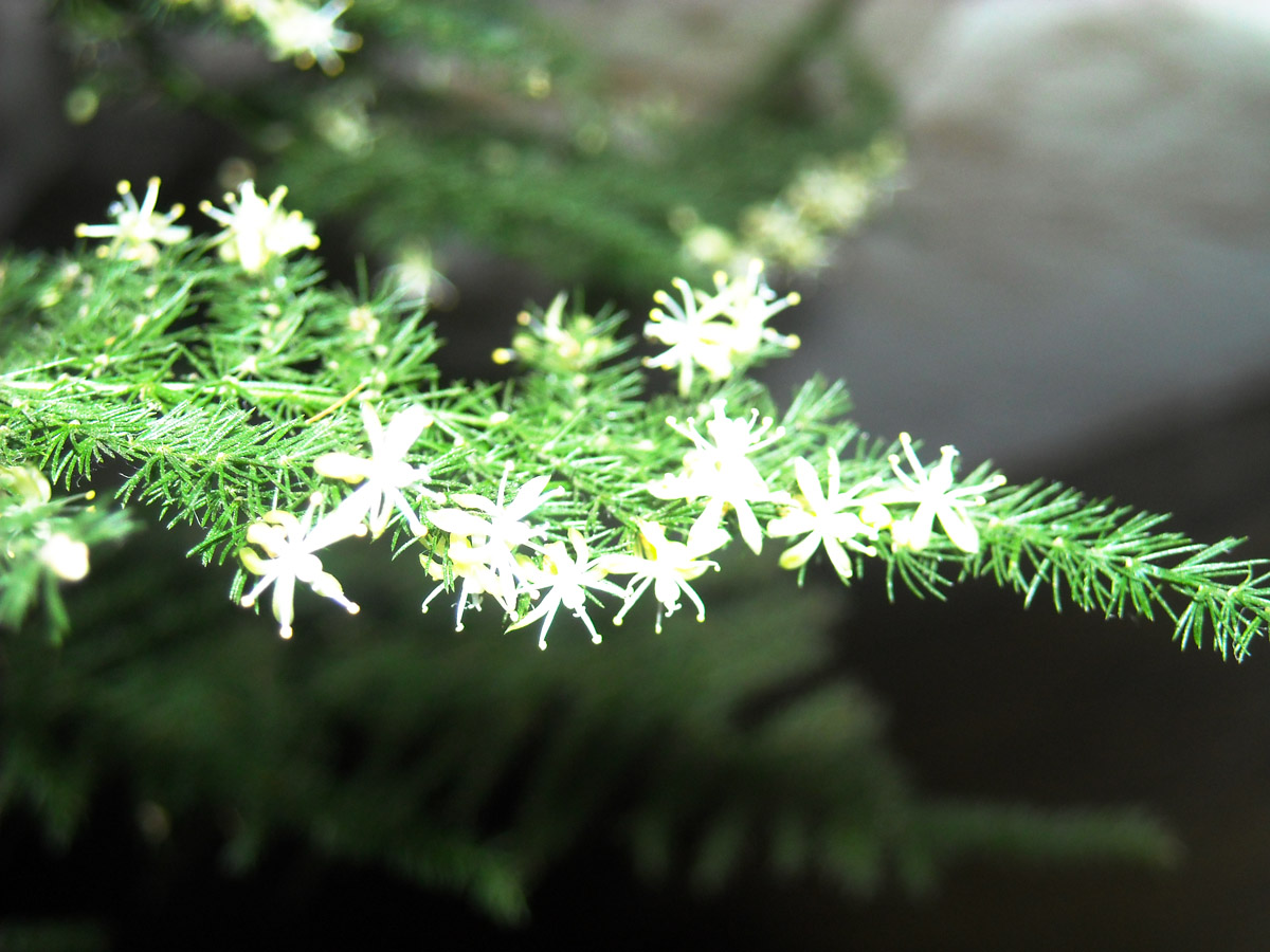 DSCN0812.JPG
