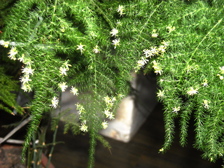 DSCN0814.JPG
