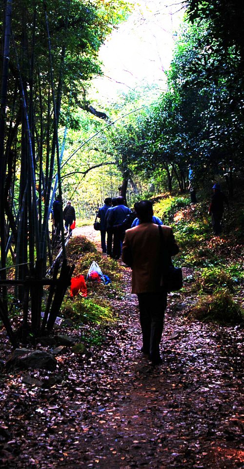 DSC_9566_conew2.JPG