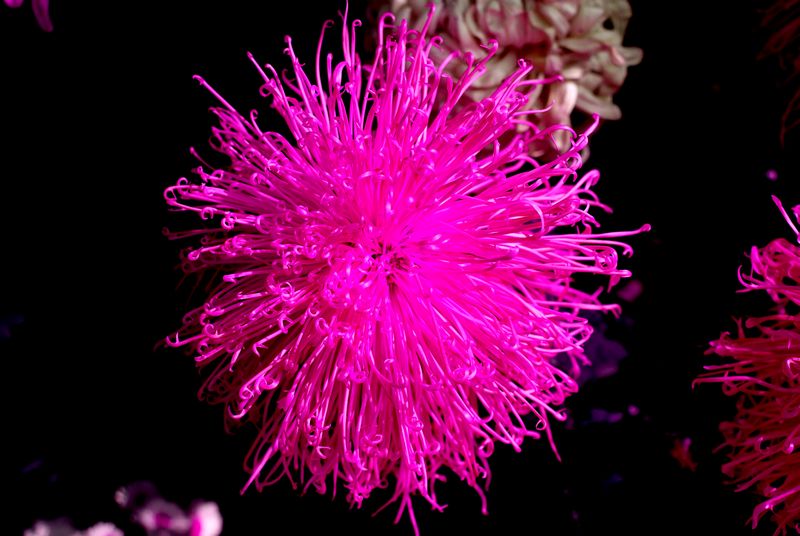 DSC00522.JPG