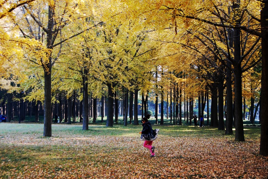 DSC_1358_conew1.JPG