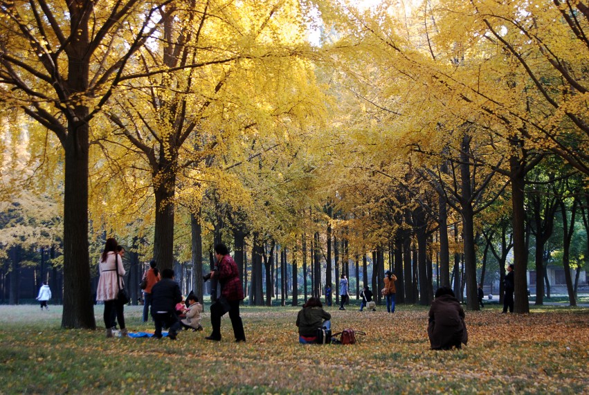 DSC_1362_conew1.JPG