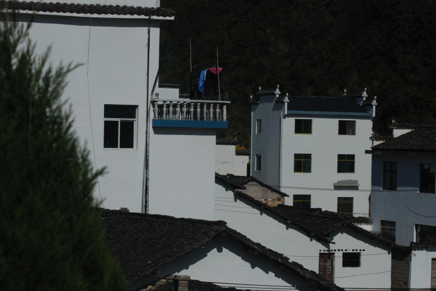 DSC_1507_conew1.JPG
