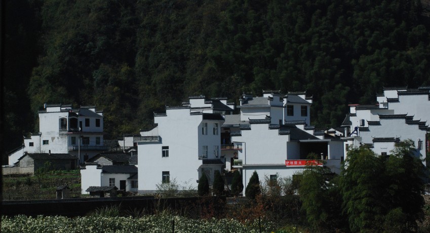 DSC_1508_conew1.JPG