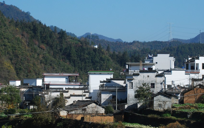 DSC_1510_conew1.JPG