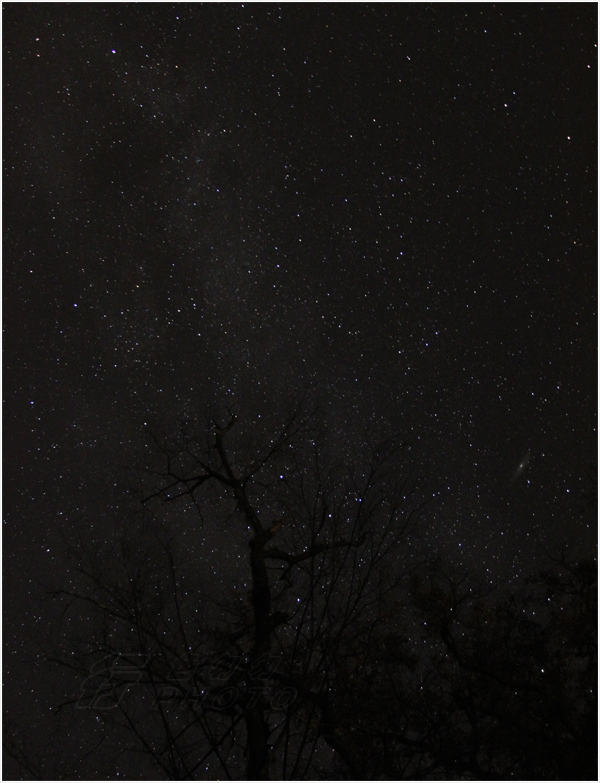 M31ϵ.jpg