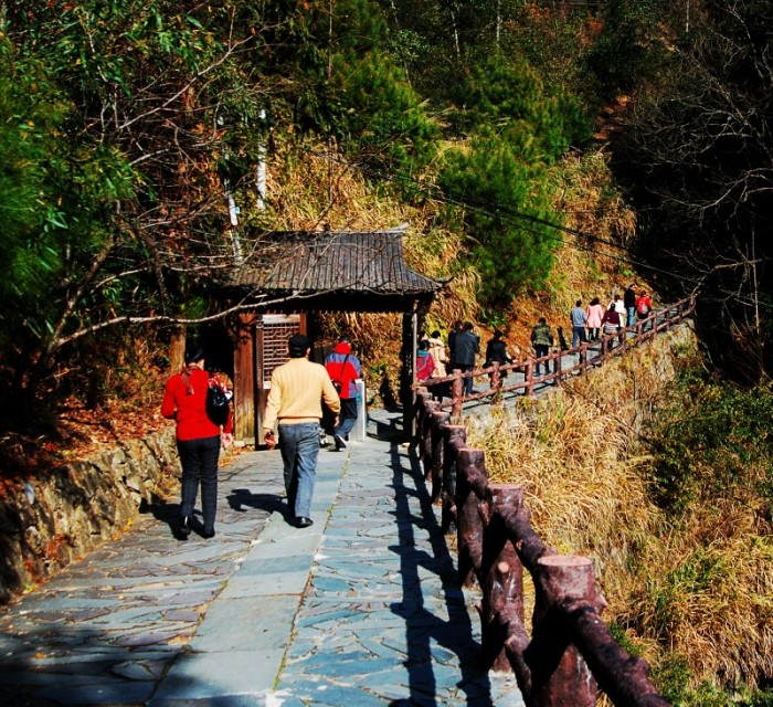 DSC_3719_conew2.JPG