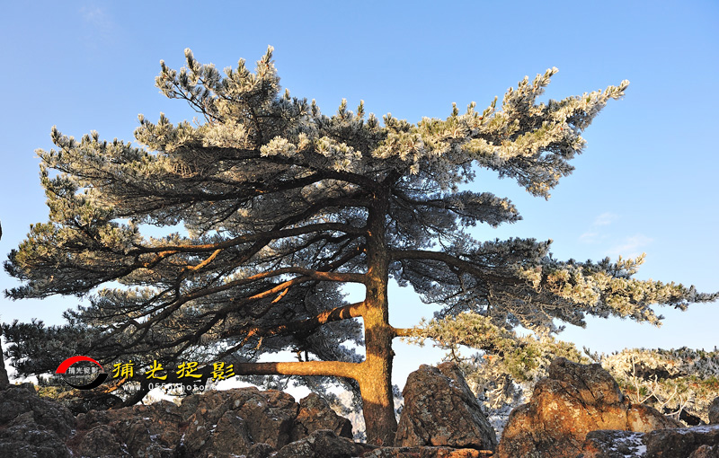 LCL_0156.jpg