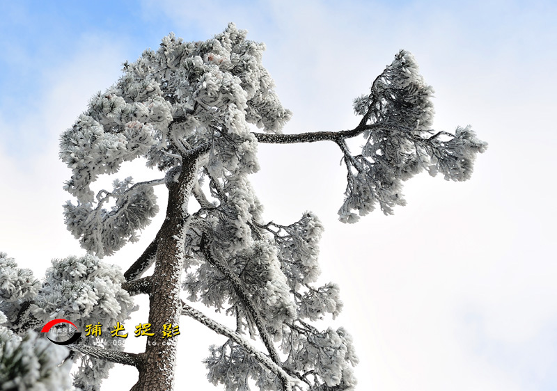 LCL_0160.jpg