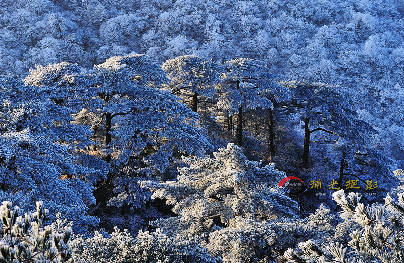 LCL_0136.jpg