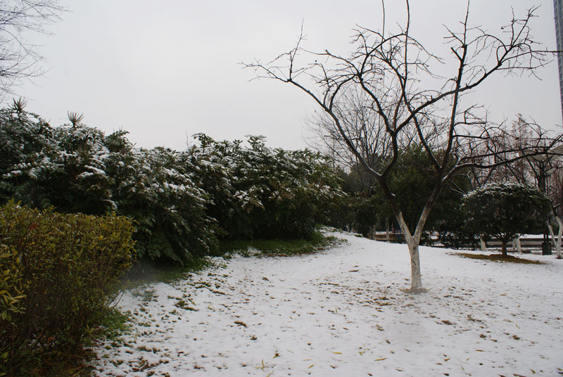 DSC02115.JPG
