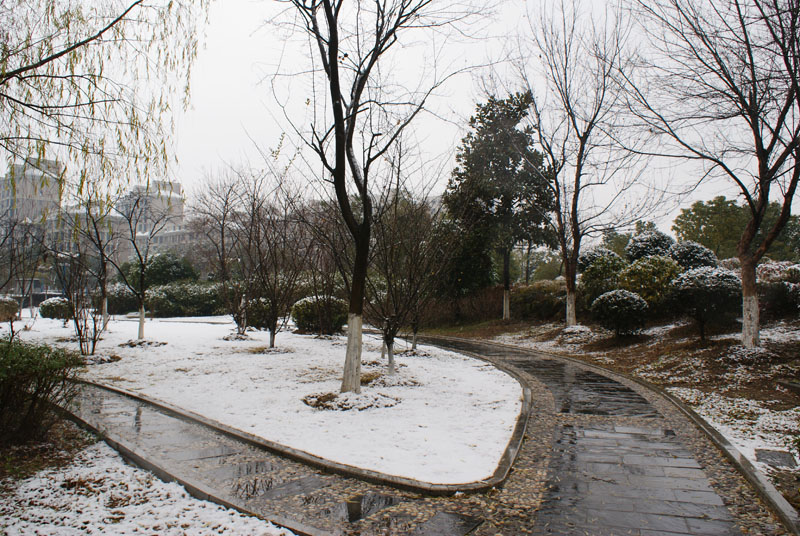DSC02114.JPG
