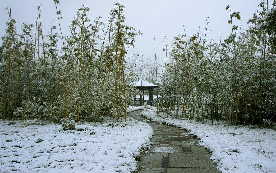 _DSC9259.JPG