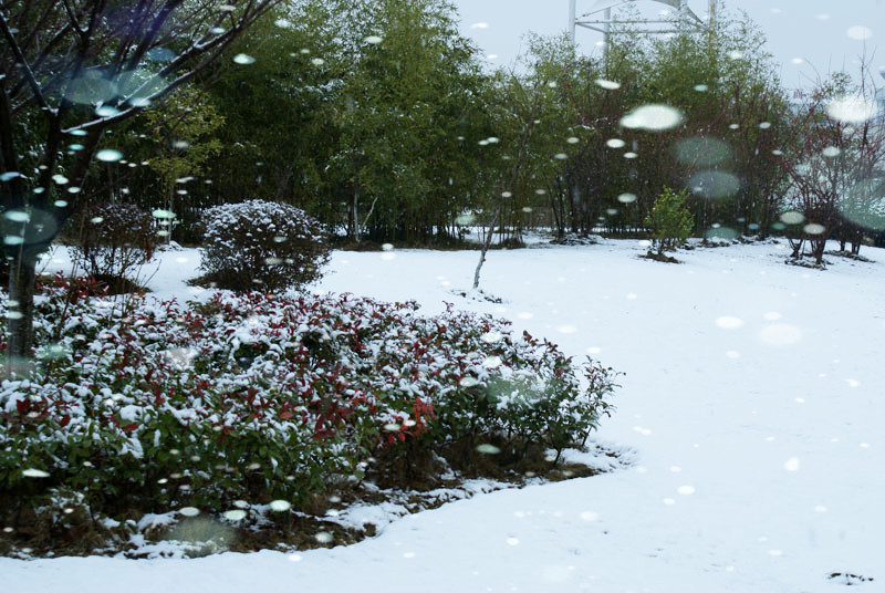 DSC02119_.jpg
