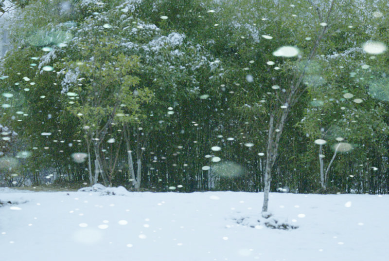 DSC02125_.jpg