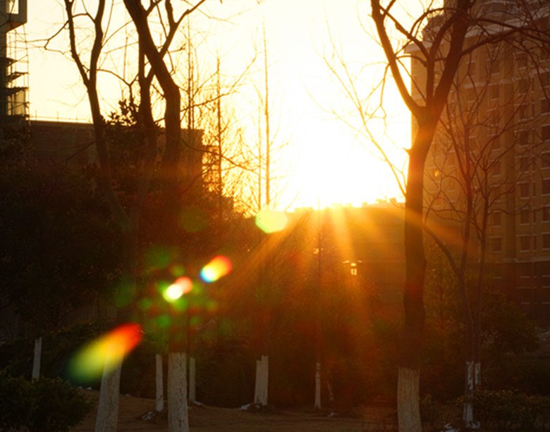 DSC02514_.jpg