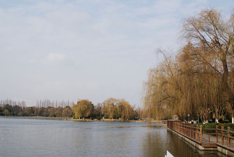 DSC02570.JPG