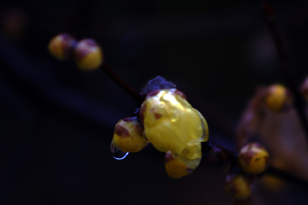 CK8A00551.jpg