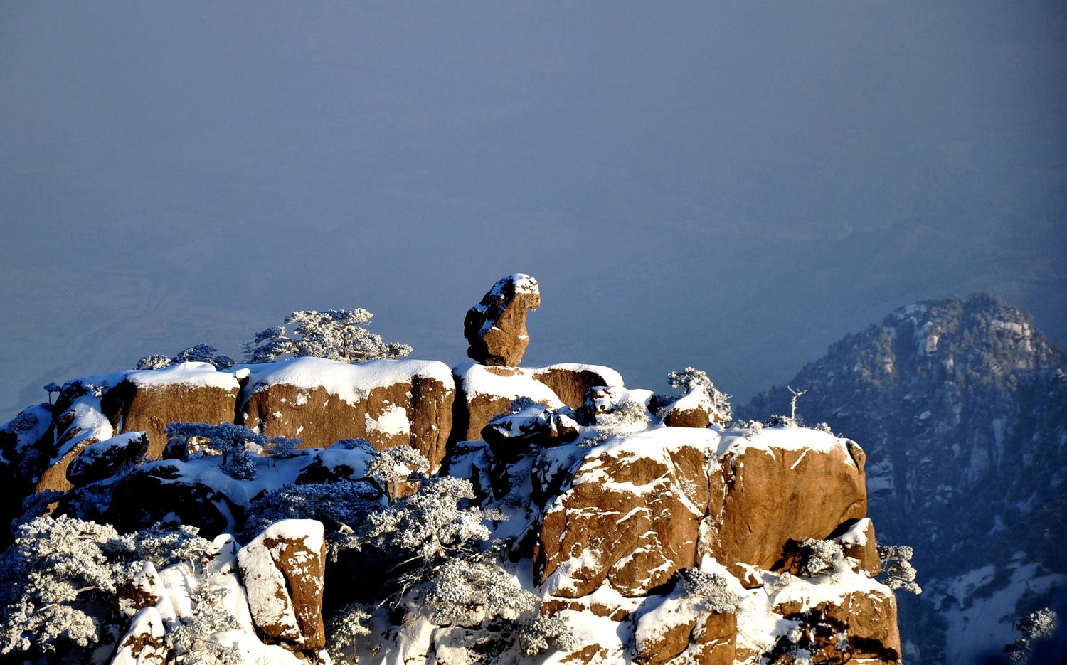 DSC_0334.jpg