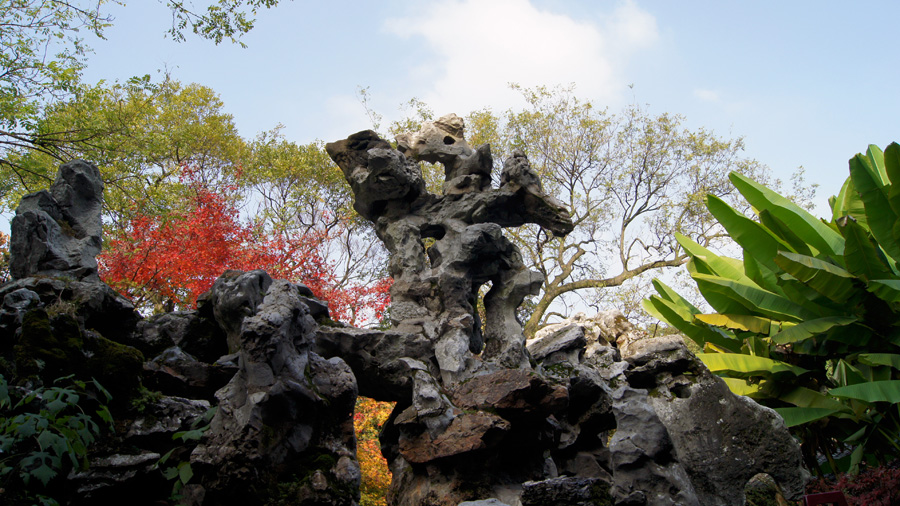 DSC09196.JPG