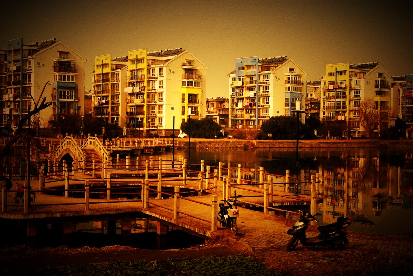 DSC_5502_conew1.JPG