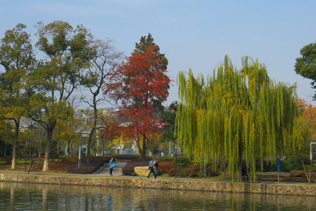 P105032600.jpg