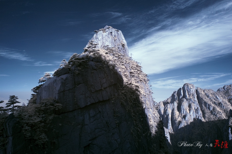 DSC_0106.jpg