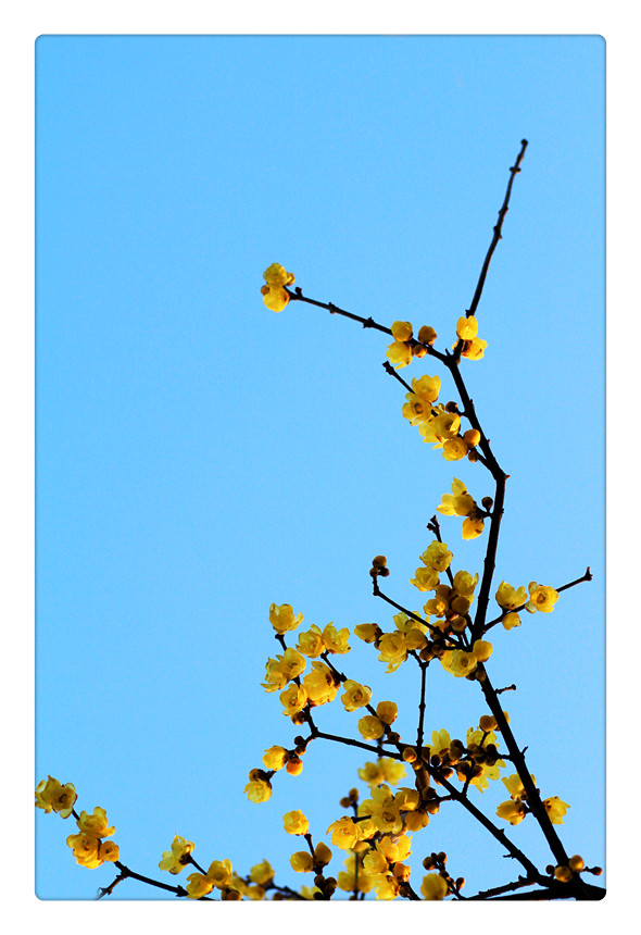 ܰ÷_0167_.jpg