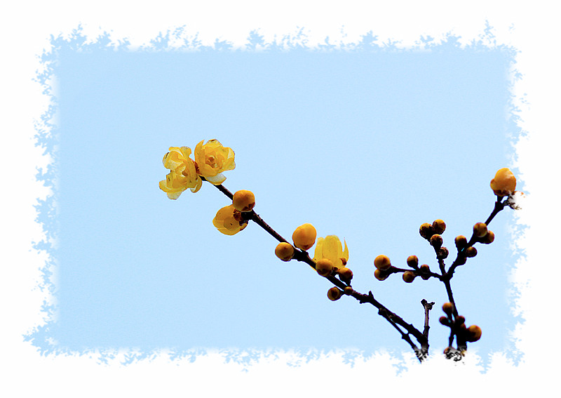 ܰ÷_0202_.jpg