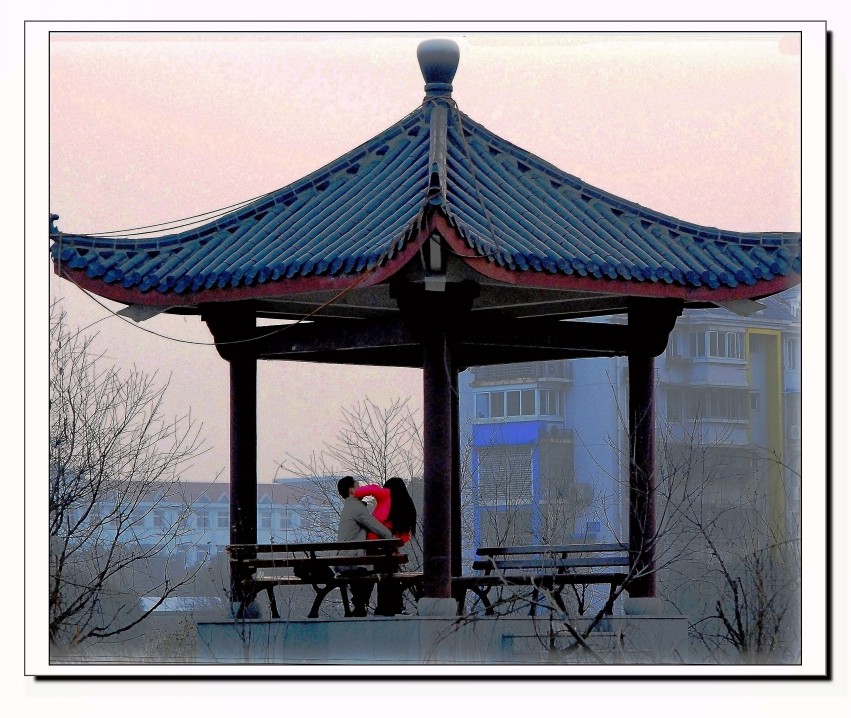 DSC_6586_conew1.JPG