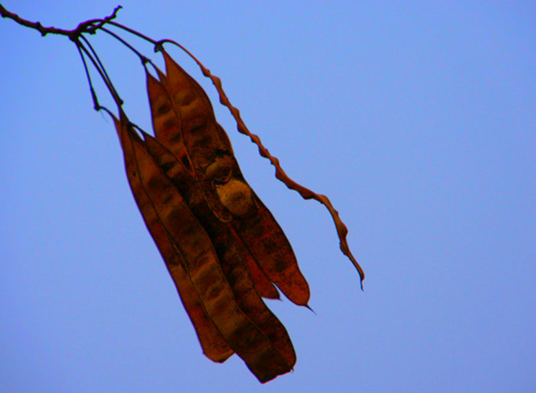 DSC09161_.jpg