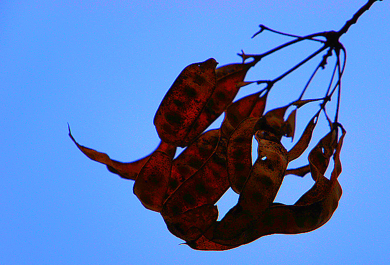 DSC09159_.jpg