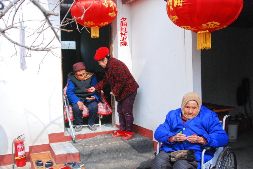 DSC_7037_conew3.JPG