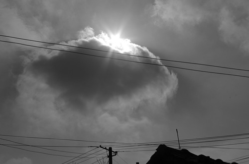 IMGP6754_.jpg