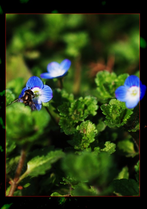 DSC_7448_conew2.JPG