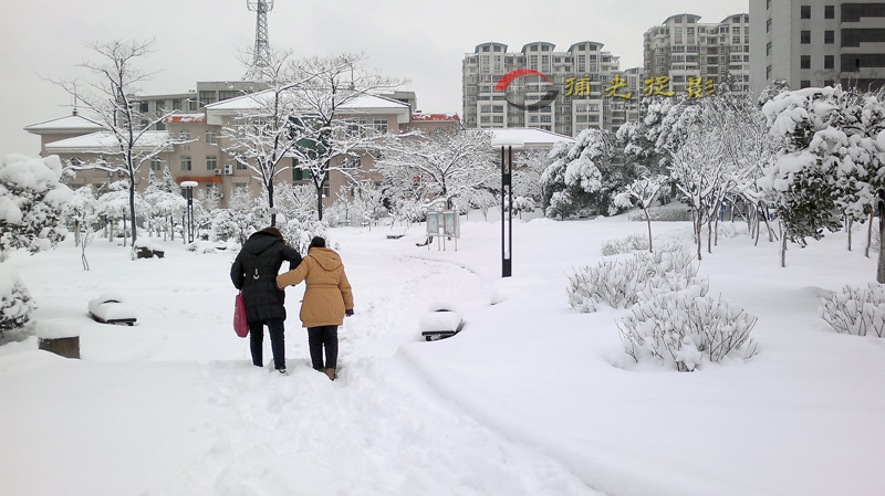 20130219155.jpg