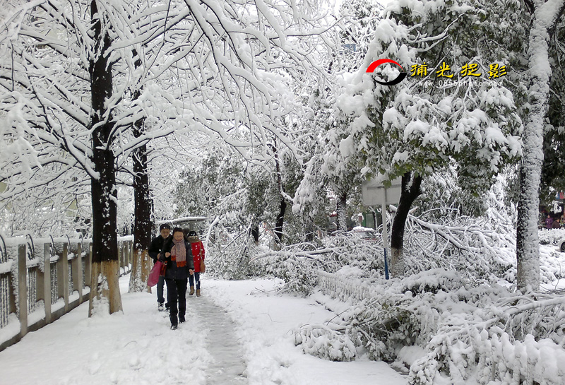 20130219159.jpg