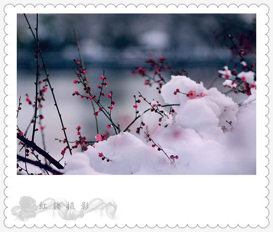 ѩ÷_0577_.jpg