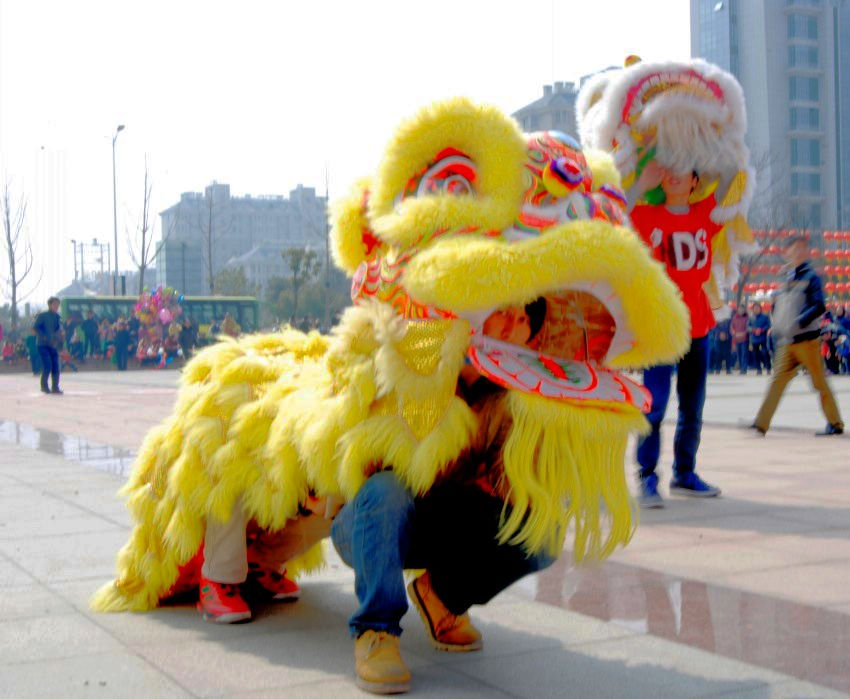 DSC_7836_conew1.JPG