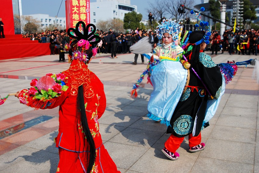 DSC_8009_conew1.JPG