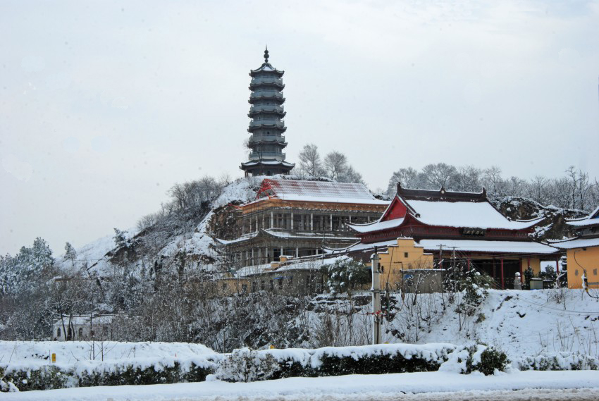 DSC_7540_conew1.JPG