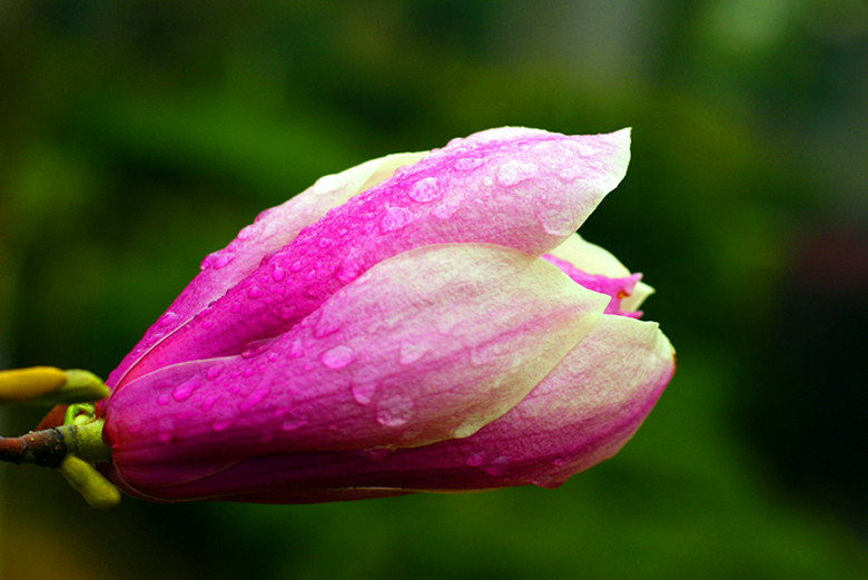 DSC03966_.jpg
