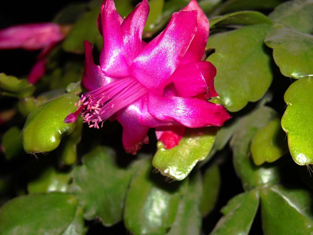 DSCN1116.JPG