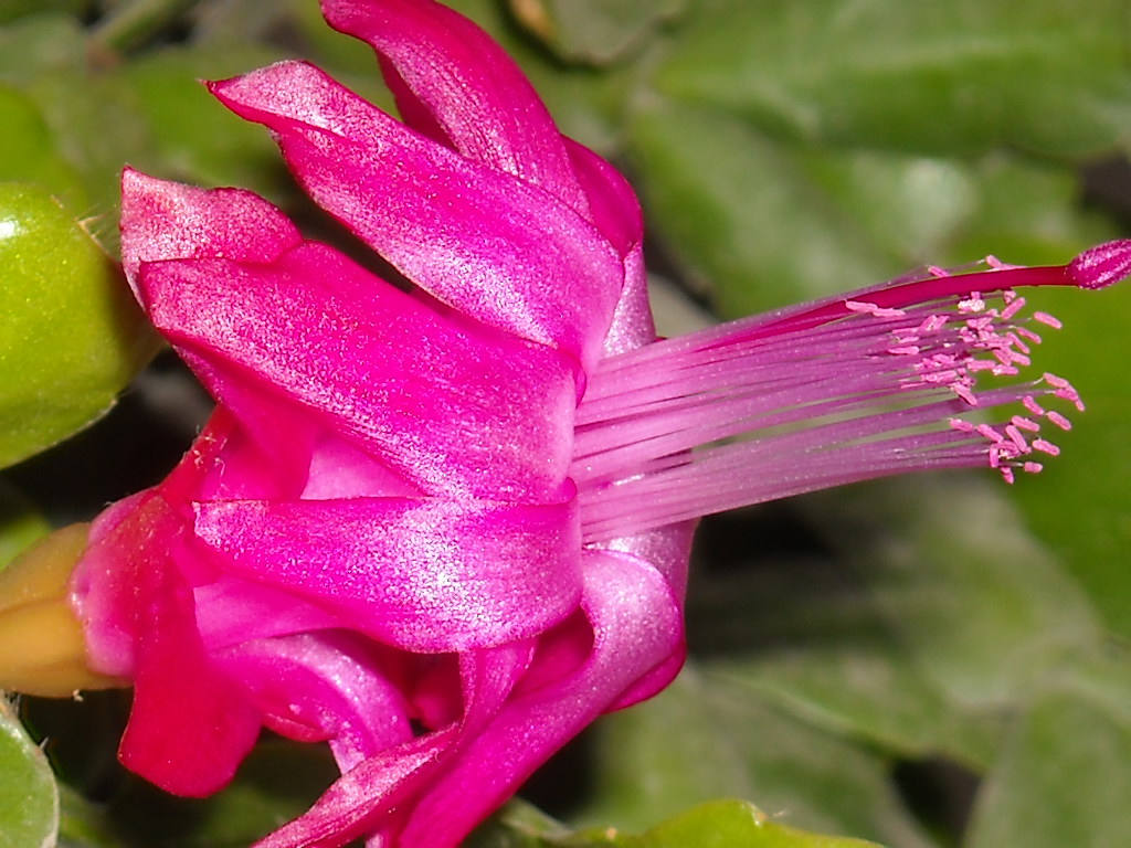DSCN1143.JPG