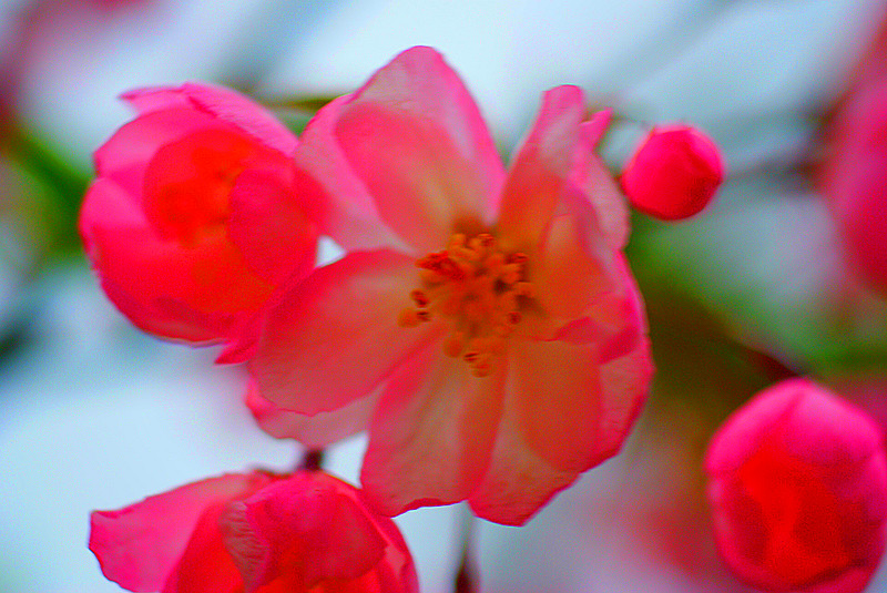 DSC04061_.jpg