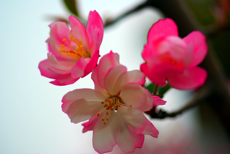 DSC04063_.jpg